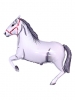 Horse White